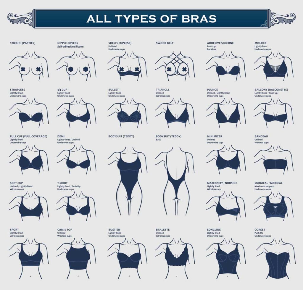 Dianes Lingerie on X: Did you know that there are 4 to 8 types of nipples?  (•)(•) . Image by @clueapp with info from